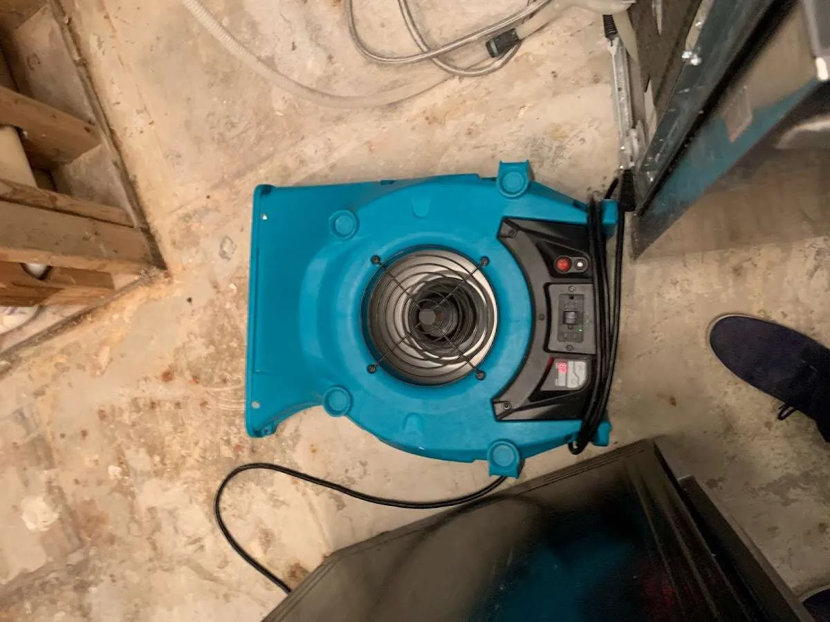Air mover drying equipment for Mold Remediation & Removal in Belen