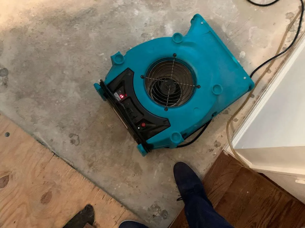 Air mover drying subfloor during Leak Detection & Repair in Belen